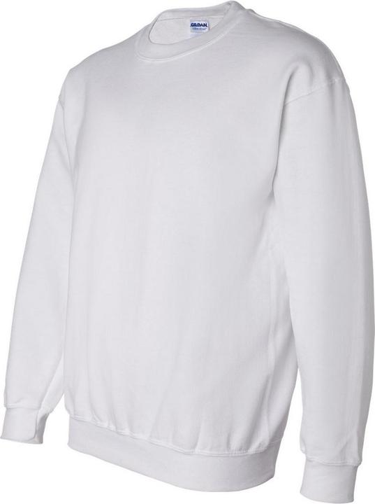 Actual product image Gildan Mens DryBlend Sweatshirt (S)