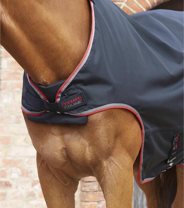 Image du produit Premier Equine 100 g (152 cm)