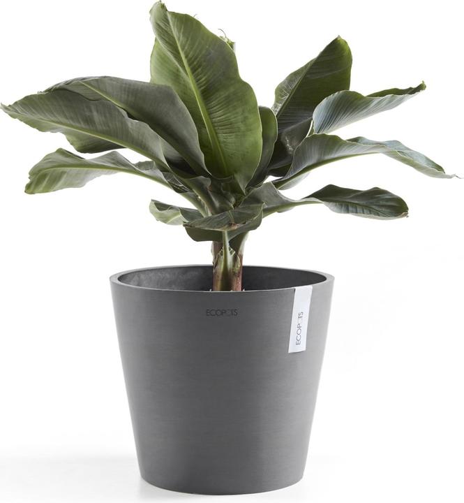 Actual product image Ecopots Amsterdam + Water reservoir (40 cm)