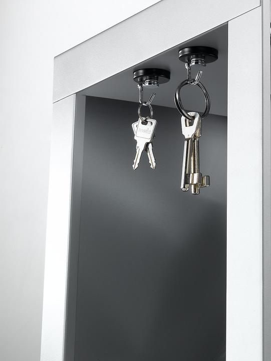 Actual product image Maul Magnet carousel hook (2 x)