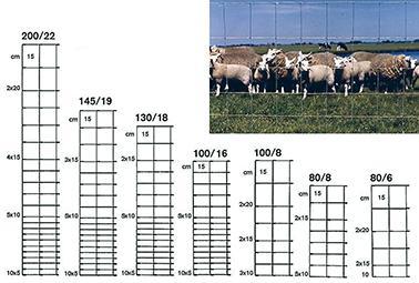 Produktbild Betafence Ursus Light ZAL 145/19/15 50m