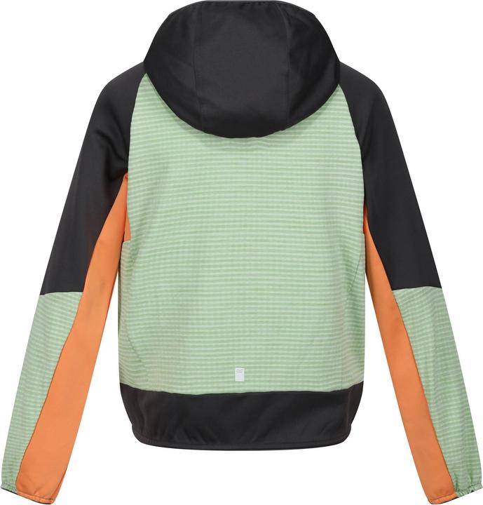 Produktbild Regatta Prenton II Softshelljacke mit Kapuze (104)