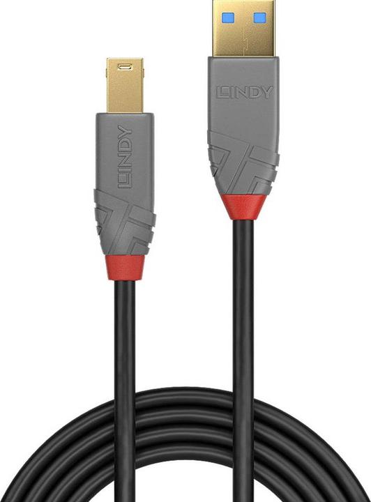 Actual product image Lindy USB/A-USB/B M-M (3 m, USB 3.0)