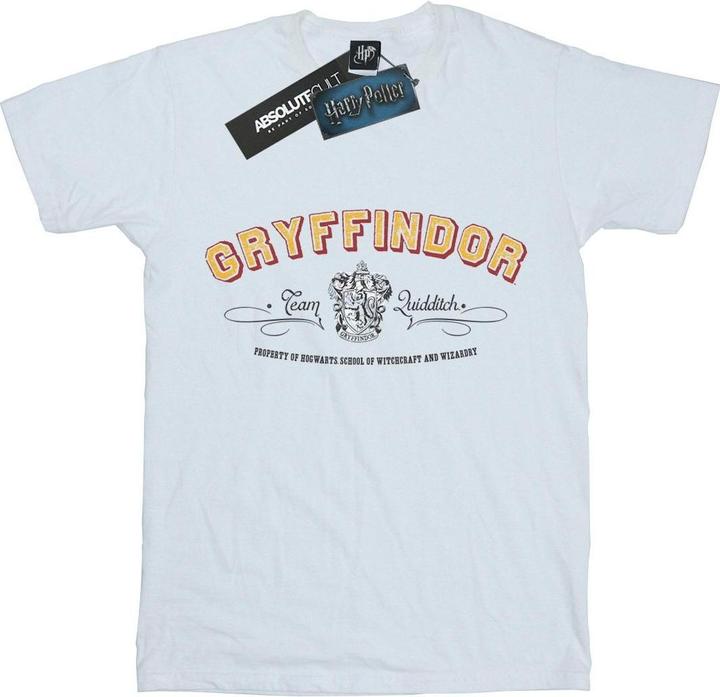 Actual product image Boys Gryffindor Team Quidditch T-Shirt (152, 158)