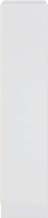 Actual product image VidaXL Bücherregal Hochglanz-Weiss 40x24x109 cm Holzwerkstoff (40 x 24 x 109 cm)