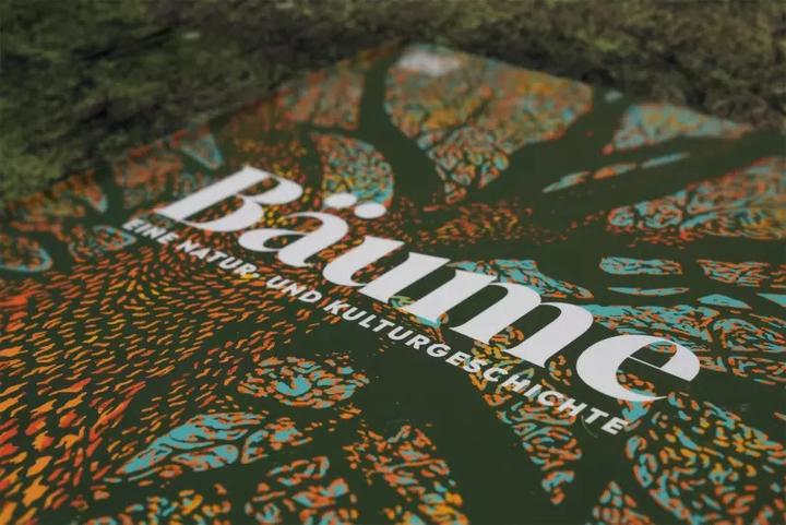 Produktbild Bäume - Eine Natur- und Kulturgeschichte (Deutsch, Andrew Mikolajski, Michael Scott, Keith Rushforth, Dr. Ross Bayton, Agnes Pahler, 2022)
