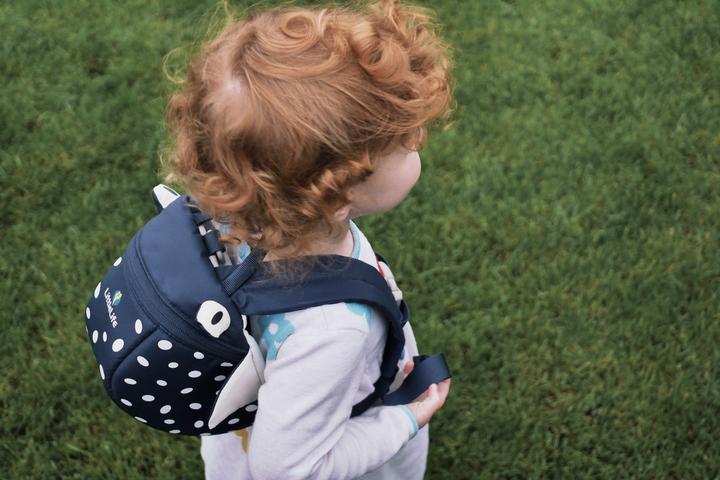 Immagine prodotto Littlelife Zaino per bambini (2 l)