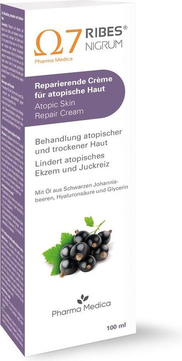 Produktbild Ribes Nigrum Repar Creme atop Haut 100ml (100 ml, 24h Creme)
