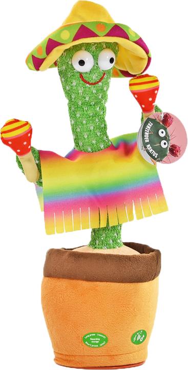 Actual product image Kögler Dancing cactus (32 cm)