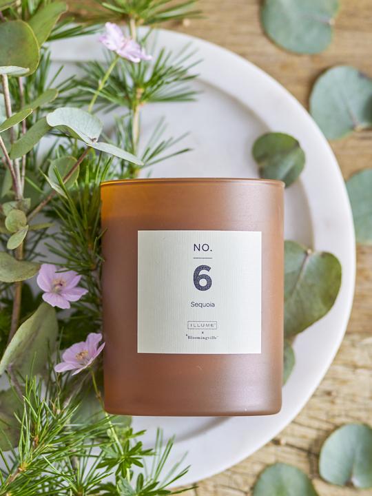 Produktbild Illume x Bloomingville NO. 6 - Sequoia (210 g)