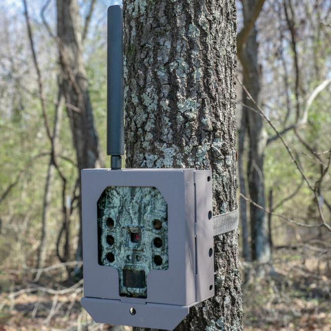 Actual product image Bushnell Trail camera security box