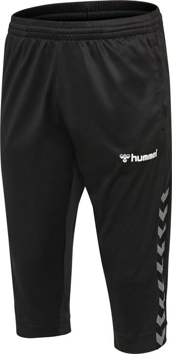 Actual product image hummel AUTHENTIC 3/4 PANT (L)