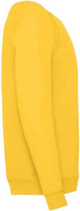 Immagine prodotto Fruit of the Loom Felpa Classico Raglan Bambini (140, 146)