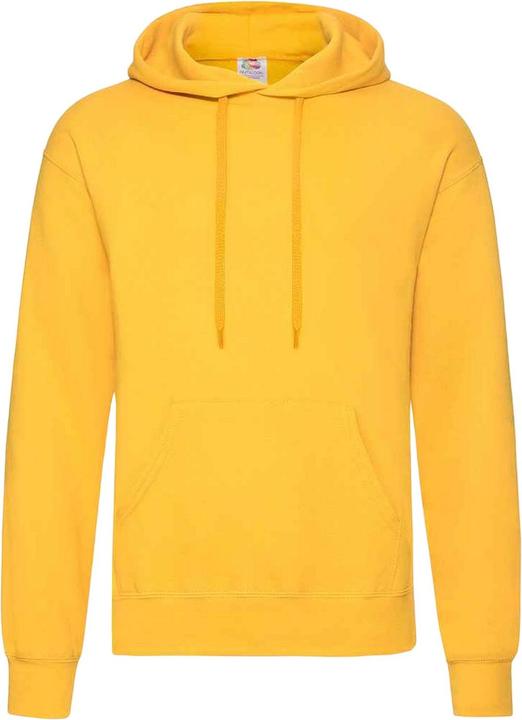 Actual product image Fruit of the Loom Unisex Adults Classic Hooded Sweatshirt (L)