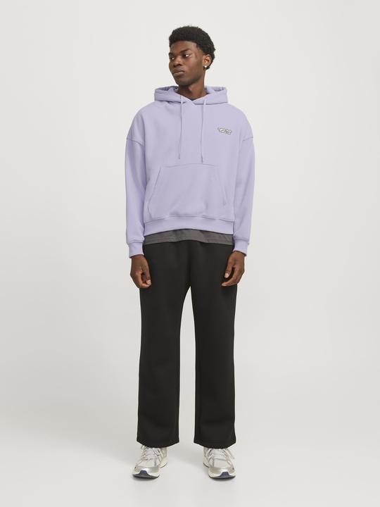 Produktbild Jack & Jones Gedruckt Kapuzenpullover Kapuzenpullover (XL)
