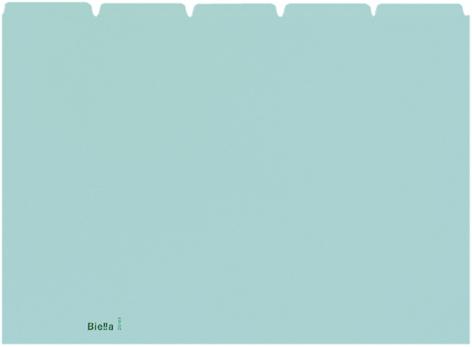 Immagine prodotto Biella Schede guida in bianco (A4, 450 g/m², 25 x)