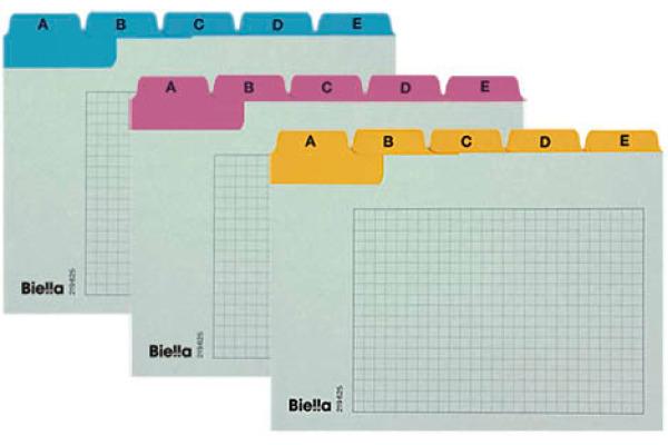 Actual product image Biella Index guide cards A6 (A6, 450 g/m², 25 x)
