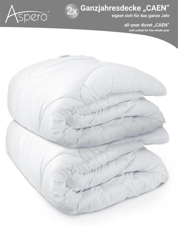 Actual product image Aspero 2 x all-season duvet CAEN - 9179 (2400 g, 155 x 220 cm)
