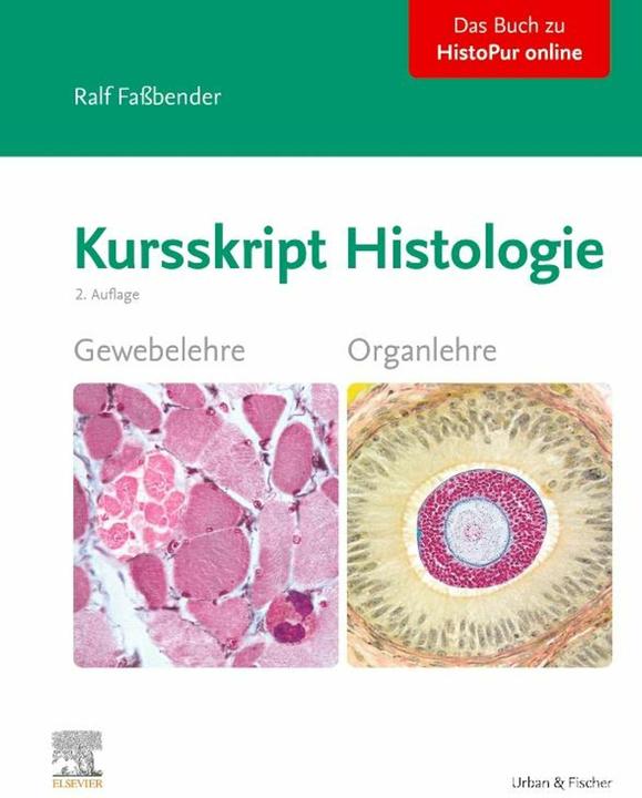 Image du produit Fassbender:Script de cours d'histologie (Allemand, Ralf Fassbender, 2024)