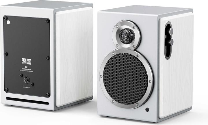 Actual product image FiiO SA1 (1 pair, 50 W)