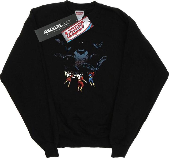 Produktbild Batman Shadow Bats Sweatshirt Jungen (152, 158)