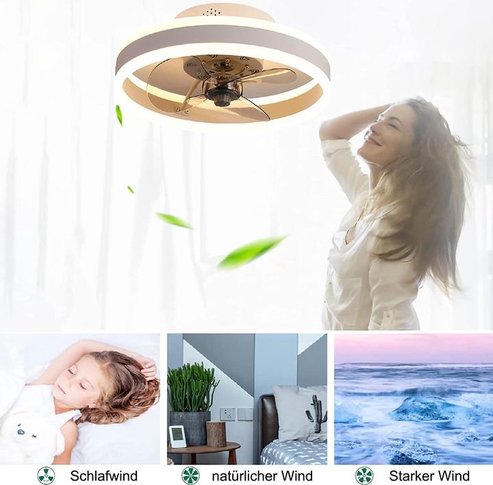 Produktbild Wildcat Deckenventilator mit Beleuchtung