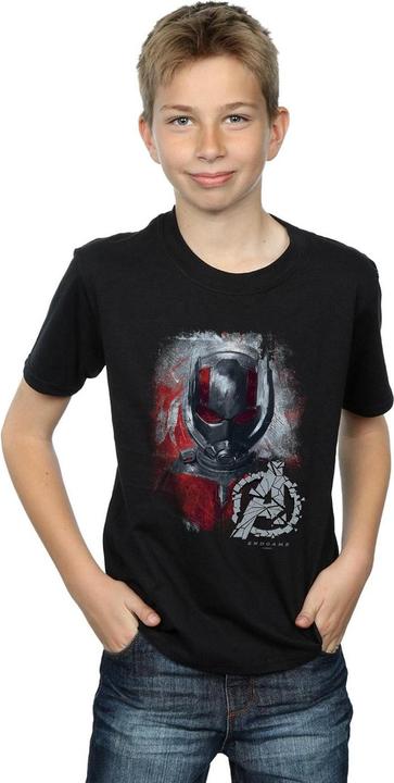 Actual product image Boys Avengers Endgame Ant-Man Brushed T-Shirt (152, 158)