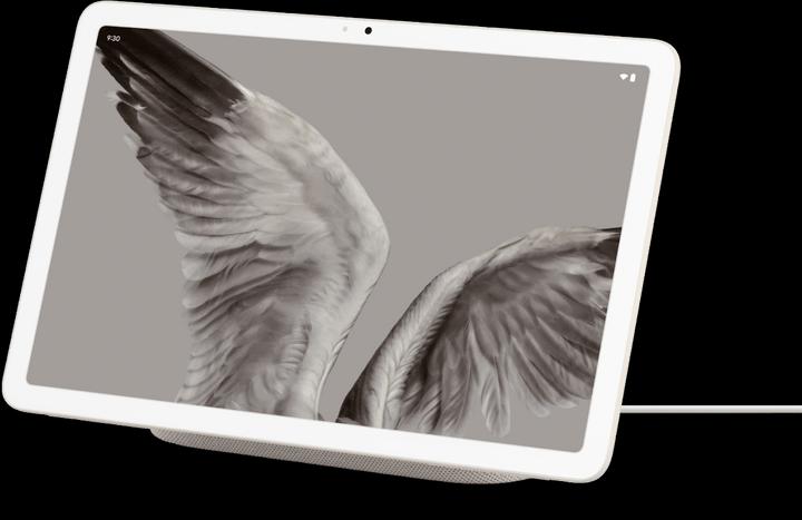 Immagine prodotto Google Pixel (10.95", 256 GB, Porcelain)