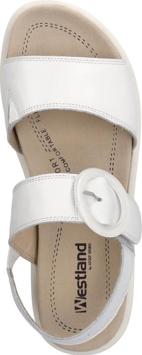 Immagine prodotto Westland 25408-409 (41)