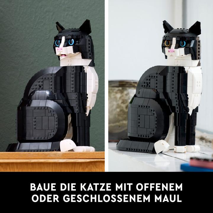 Productafbeelding LEGO Vertrouwelijk (21349, LEGO Ideeën, LEGO Zeldzame Sets)