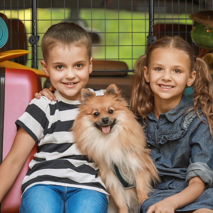 Produktbild Relaxdays Hundegitter Auto (Hund, Sicherheitsverschluss)