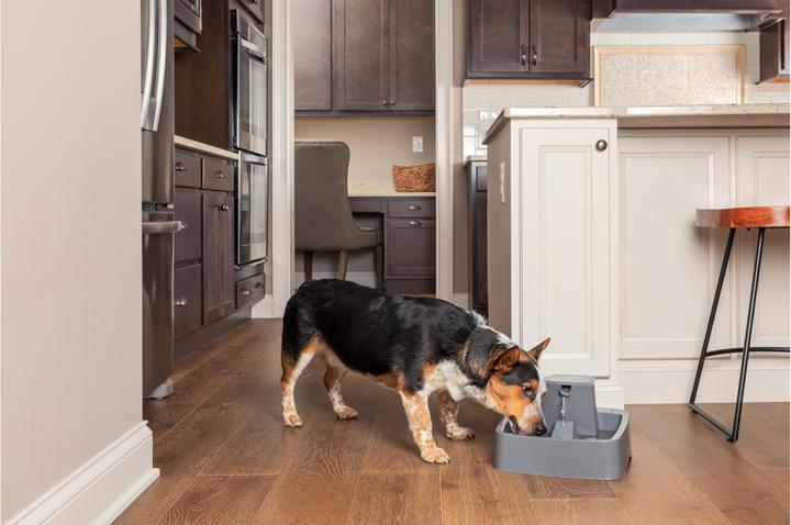 Produktbild Sportdog Drinkwell 3.7 Litre Pet Fountain - EU Adaptor (3.70 l)