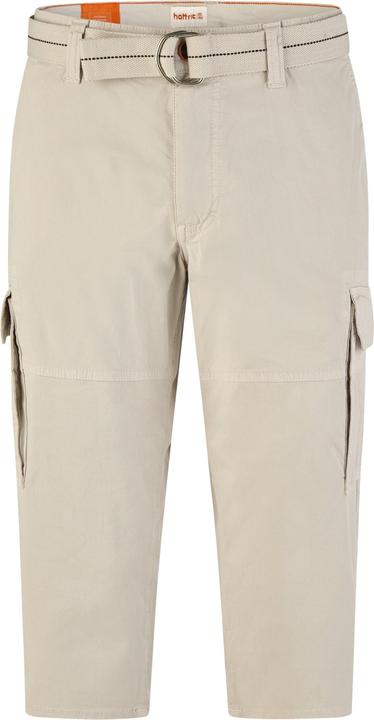 Image du produit Hattric Cargo Shorts (31)