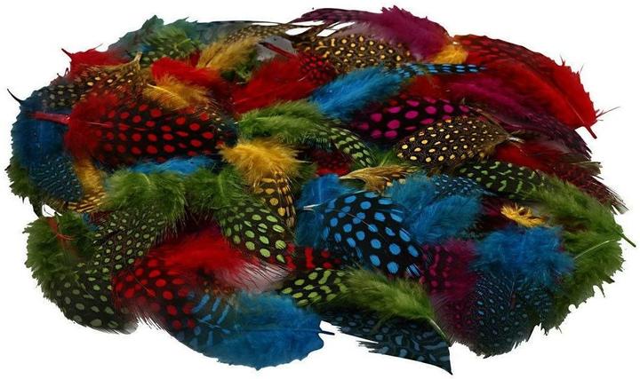Actual product image Creativ Company Guinea fowl feathers assortment