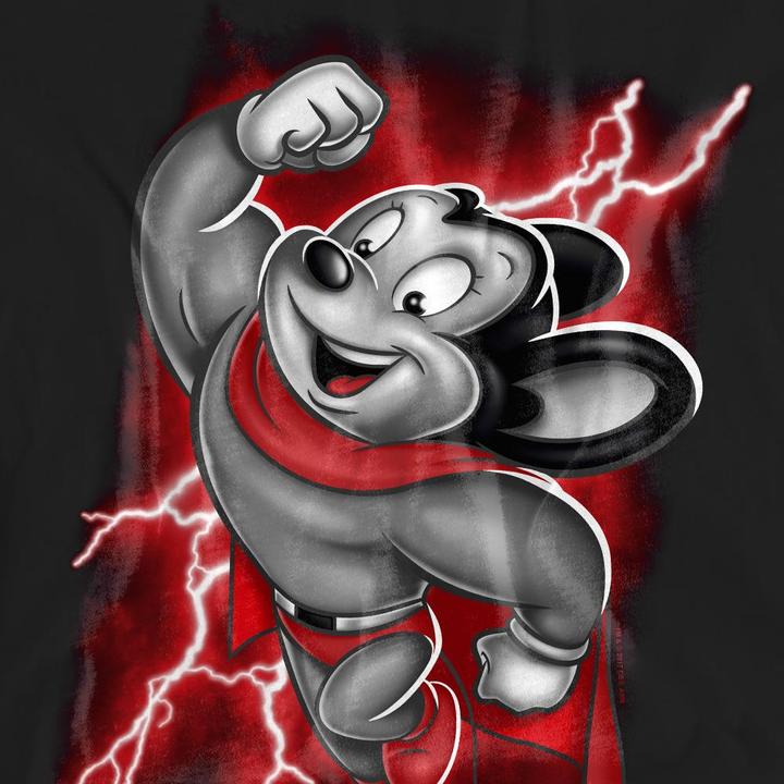 Actual product image Fruit of the Loom Unisex Adult Mighty Storm T-Shirt (S)