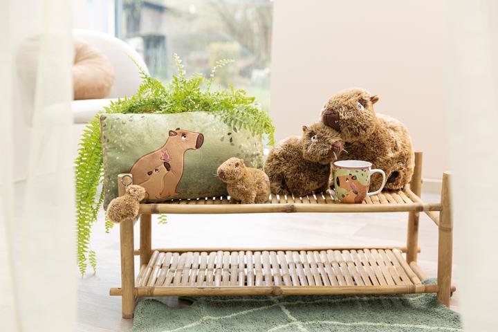 Produktbild NICI 61226 Kissen Capybara Capy-Barbara 43x25cm GREEN (43 x 25 cm)