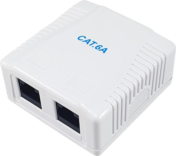 equip Aufputzdose Cat6A 2-Port 2x RJ45 UTP