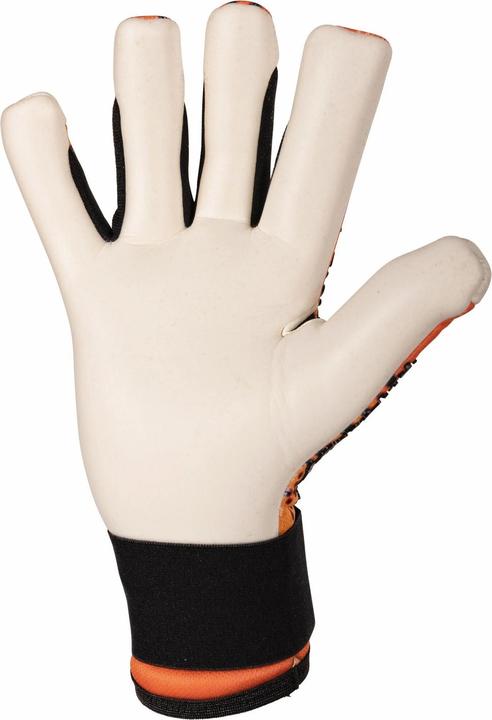 Actual product image Stanno Blaze (9.5)