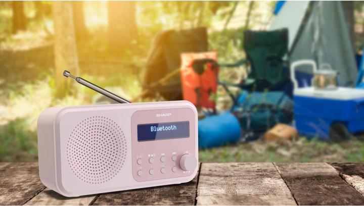 Produktbild Sharp DR-P420 (FM, DAB+, DAB, Bluetooth)