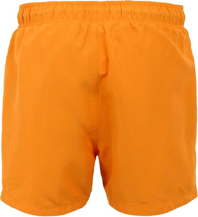 Actual product image Regatta Mens Mawson II Swim Shorts (L)
