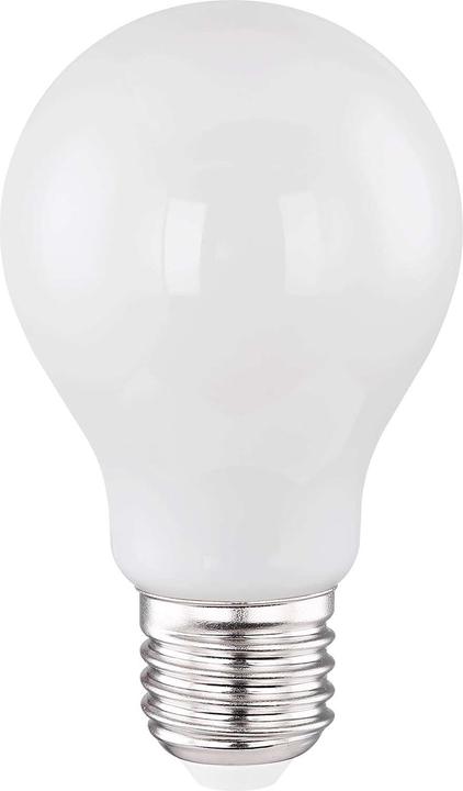 Globo Lampadina a LED argento metallizzato 1xE27 LED (E27, 6.50 W, 10 x, F)