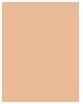 Immagine prodotto Rimmel London Perfezione dell'abbinamento SPF20 (203 Vero Beige)