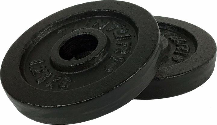 Tunturi Gusseisen 1.25 kg Gewichtscheibenpaar 30 mm (2 x 1.25 kg)