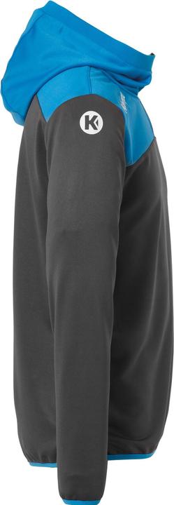Actual product image Kempa Emotion 2.0 Quarter Zip Hoody (116)