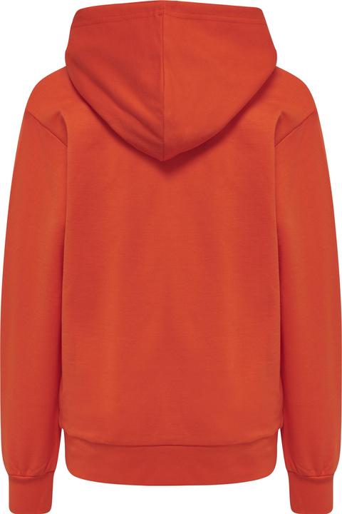 Image du produit hummel Cuatro Hoodie (104)
