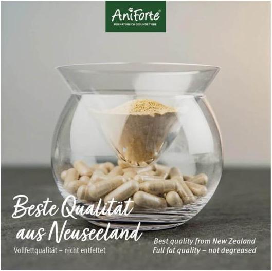 Image du produit AniForte Moules aux orles vert Capsules. (Adulte, 1 pcs, 70 g)
