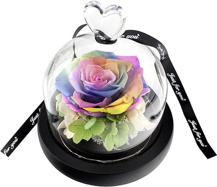 Produktbild JTI Kleine Rose im Glasglocke - Regenbogenfarben (15 cm)