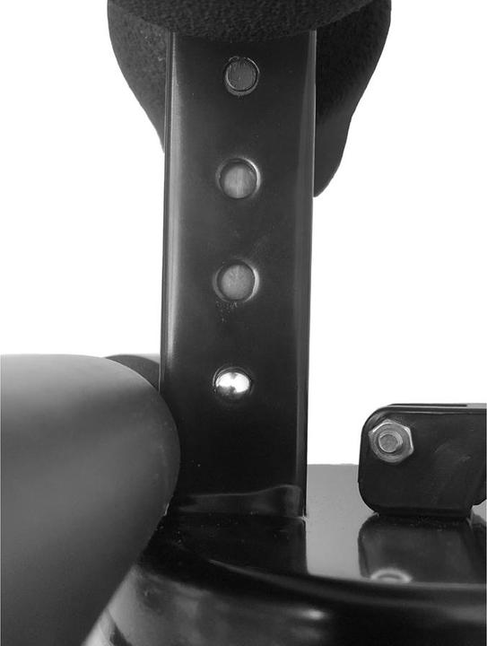 Actual product image Schildkröt Sit Up