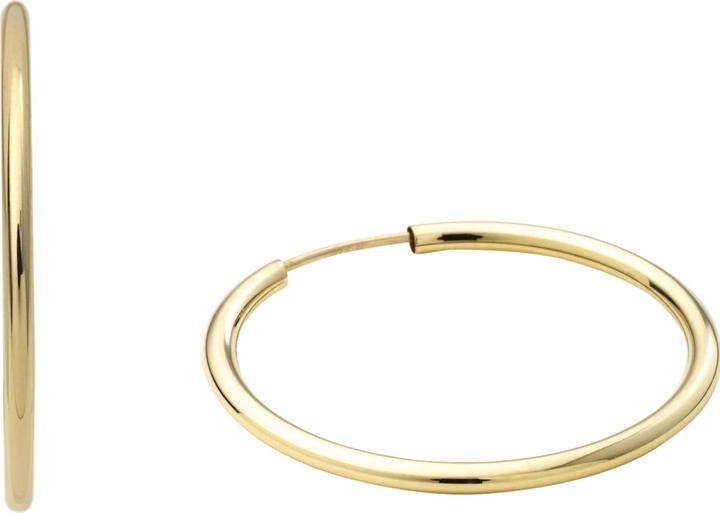 Favs Creolen (375er Gelbgold)