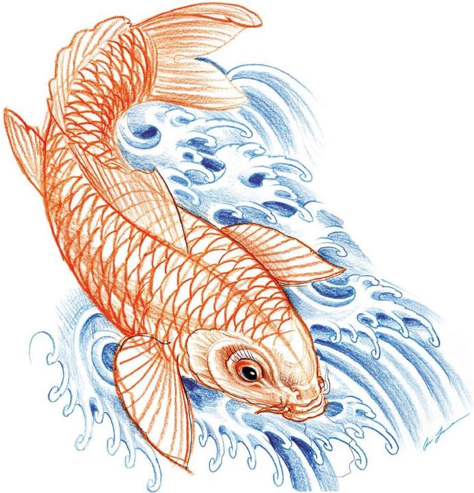 Actual product image Miami Ink Japanese koi (80 x 78 cm)